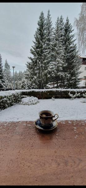 Alpine Oasis - Poiana Brasov Central